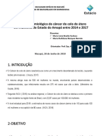 Estudo Epidemiológico Do Câncer D Colo Do Útero Slide