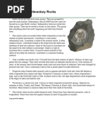 Non Clastic Sedimentary Rocks