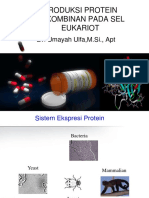 Produksi Protein Rekombinan Pada Eukariot 2014