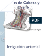 Vasos de Cabeza y Cuello 2012.pdf