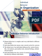 Individual Behavior in Organization