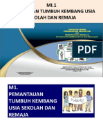 PUBKESEHATANREMAJA