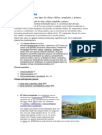 tipos de clima.docx