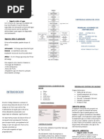 ELABORACION NECTAR DE MANGO TRIPTICO .docx