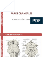 17-23 - Pares Craneales - Neuroanatomía - Roberto León Correa