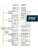 Organigrama APACE 2019