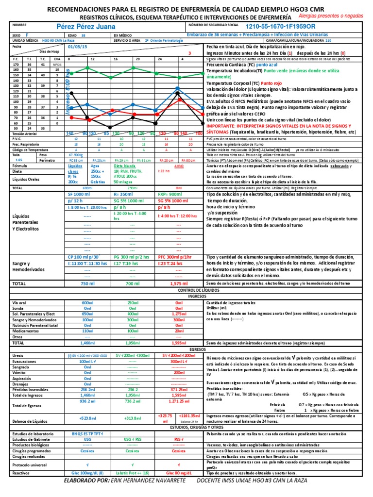 Registros Clínicos Imss Actualizado 2019 | El embarazo | Diagnostico medico