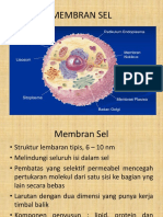 Biomembran