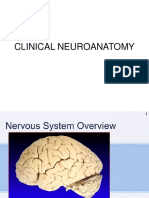 Nervous System Overview