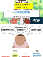 Respiratory System