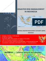 Indonesia's Disaster Risk Management Framework