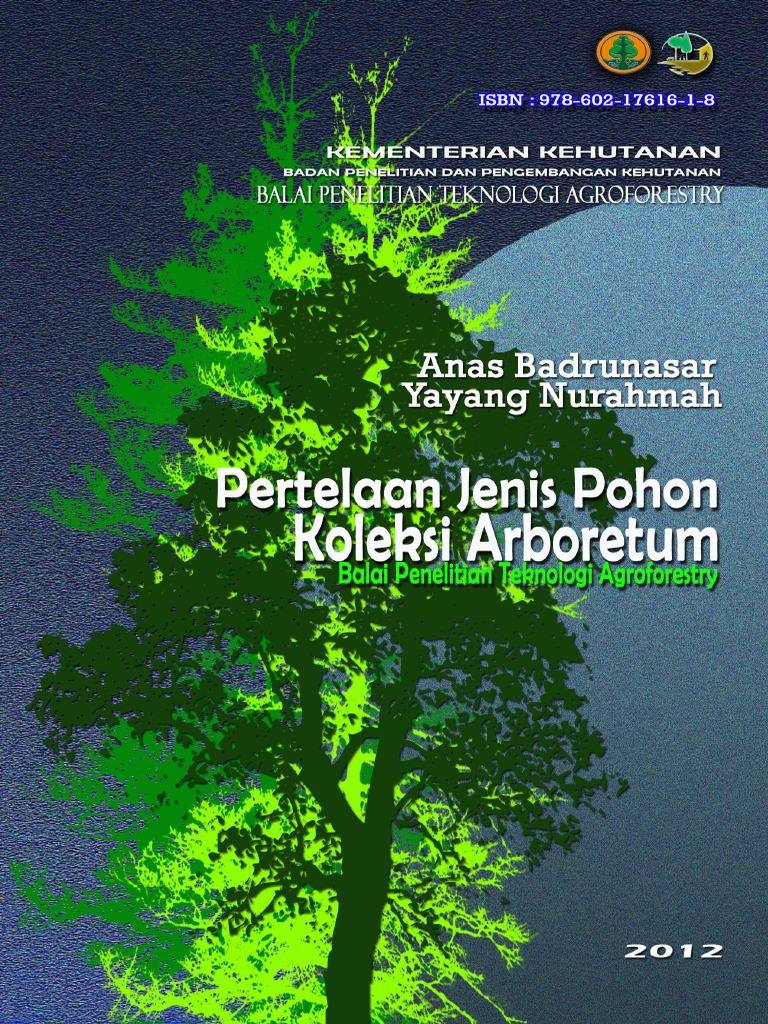 Mewarnai Gambar Pohon Tertiup Angin Gambar Kelabu