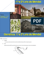 Aula-1-e-2-Leis-de-Mendel1 (1)-convertido-convertido.docx