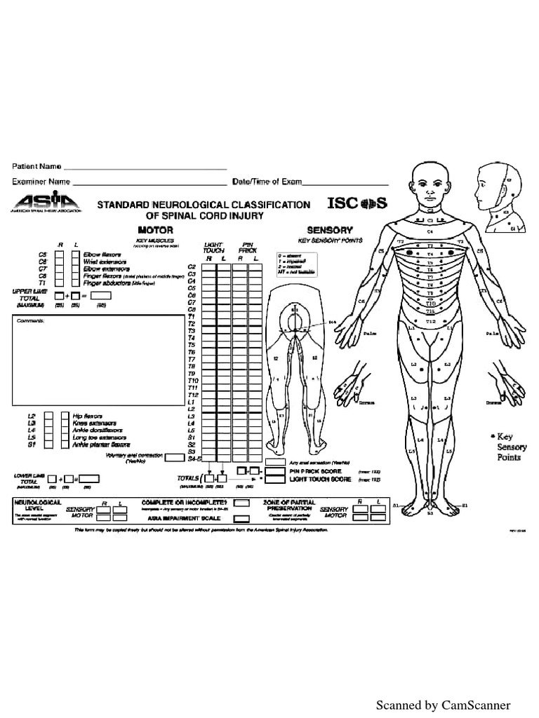 Asia Scale | PDF