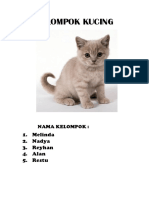 KELOMPOK KUCING.docx