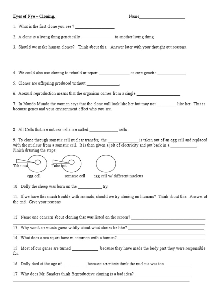 Bill Nye Cloning  PDF  Cloning  Life Sciences Throughout Bill Nye Energy Worksheet