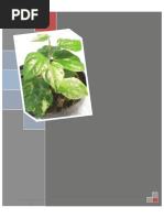 Download Tanaman Toga  Daun Sirih by fiqa_28feb SN40054668 doc pdf