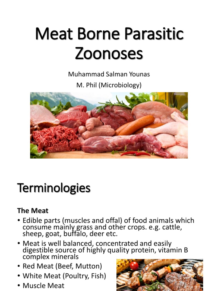 Meat Borne Parasitic Zoonoses PDF Diseases And Disorders Microbiology