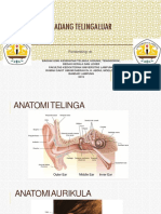 OTITIS EKSTERNA