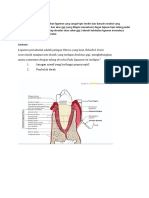 Ligamen Periodontal