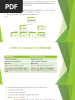 2 D Electrophoresis 1