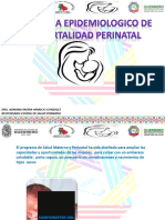 Salud Perinatal 2017