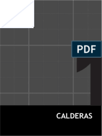 Apunte Caldera.pdf