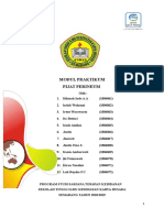 Format Modul Bu Fitri (Pijat Perineum)