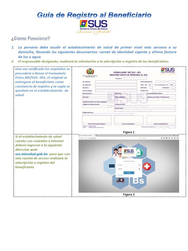 Guia De Registro Sus Pdf