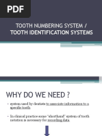Teeth Numbering System | PDF | Dentistry | Dental Anatomy