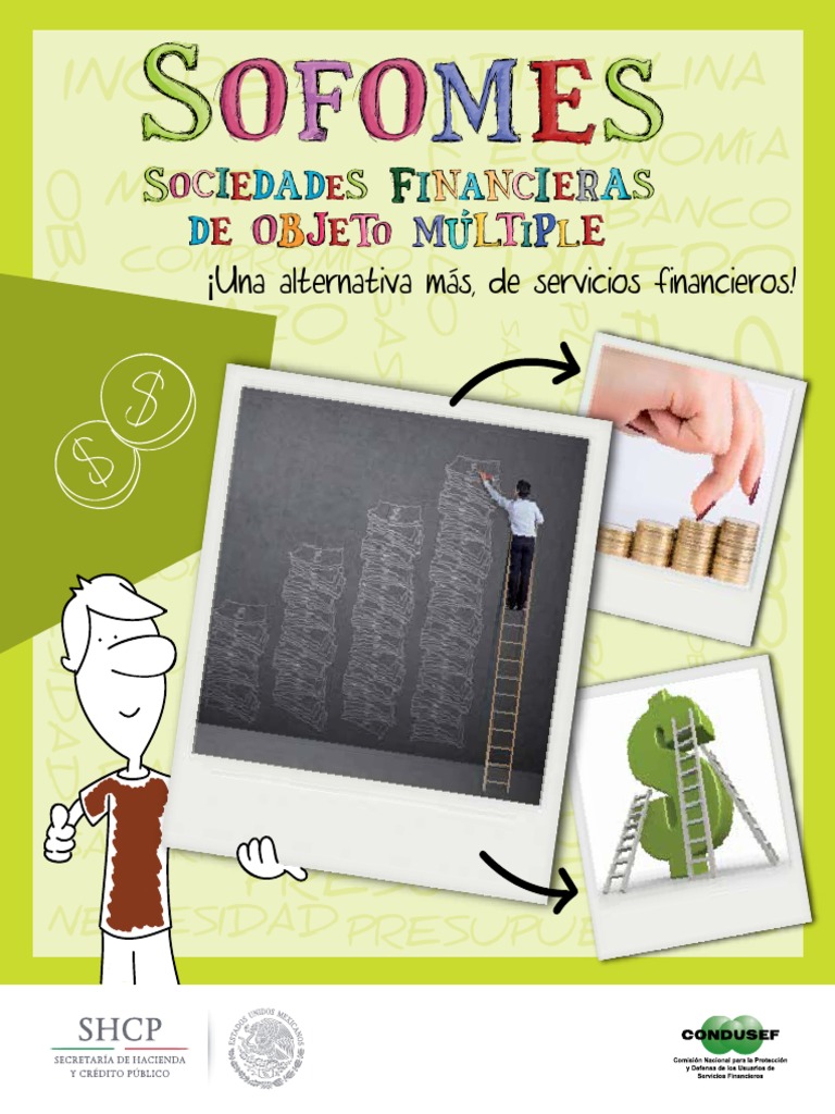 Clasificación de Sofomes en México | PDF | Préstamos | Finanzas (general)