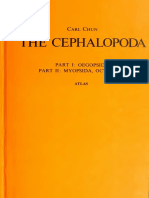 Cephalopoda00chung PDF