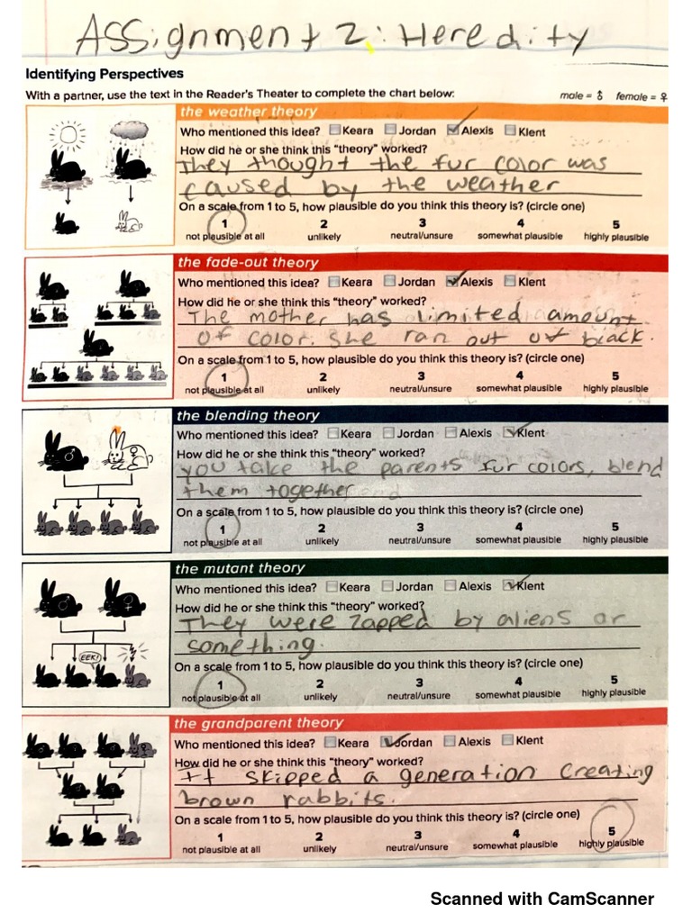 Document Scanning Overview | PDF