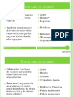 2019 02 Morfología Vegetativa PDF
