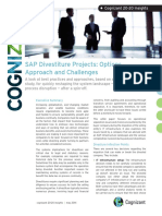 SAP Divestiture Projects Options Approach and Challenges