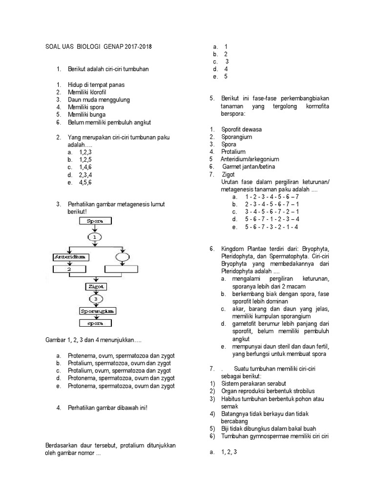 Ciri Bryophyta Yang Membedakannya Dari Pteridophyta Adalah Tips