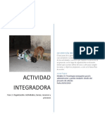 ACTIVIDAD INTEGRADORA Fase 3. Organización. Actividades, Tareas, Recursos y Procesos