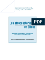 pubsii_0052 AFROECUATORIANOS EN CIFRAS 2001.pdf