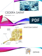 Cedera Saraf