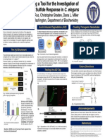 Undergraduate Research Symposium Poster III