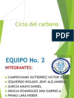 Ciclo Del Carbon Completa