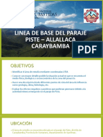 Linea de Base de Caraybamba PDF