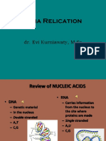 Kuliah Blok Gen Replication