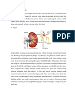 ANATOMI DAN FISIOLOGI SISTEM KEMIH