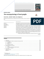 The Neuropsychology of Basal Ganglia: Review Article