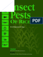rice pest.pdf