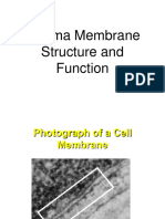 Plasma Membrane Report (ROY)