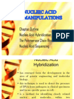 Nucleic Acid Manipulations