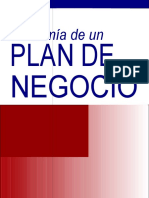 Anatomia de Un Plan de Negocios