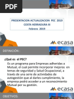 Actualizacion Pec 2019